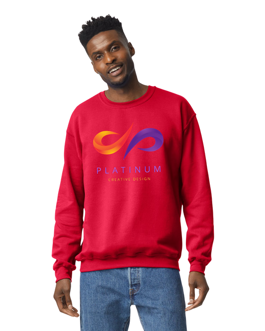 3. ADULT SWEATSHIRTS